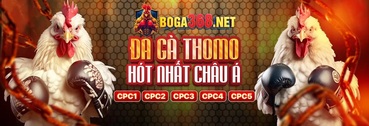 Đá gà trực tuyến kịch tính tại vin7771 code